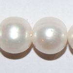 Perla patata 11 mm (Alta calidad).