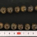 Broncita bola 14 mm.