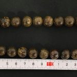 Broncita bola 12 mm.