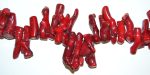 Coral Bambú tronco 40 mm