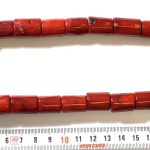 Coral Bambú tronco 20-23 mm