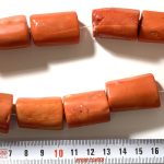 Coral Bambú Naranja tronco 25-30 mm