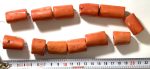 Coral Bambú Naranja tronco 25-30 mm