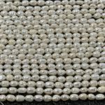 Perla Arroz 3-4 mm (Alta Calidad +)