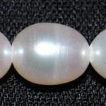 Perla arroz 11 mm.